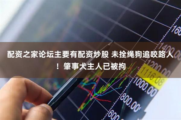 配资之家论坛主要有配资炒股 未拴绳狗追咬路人！肇事犬主人已被拘